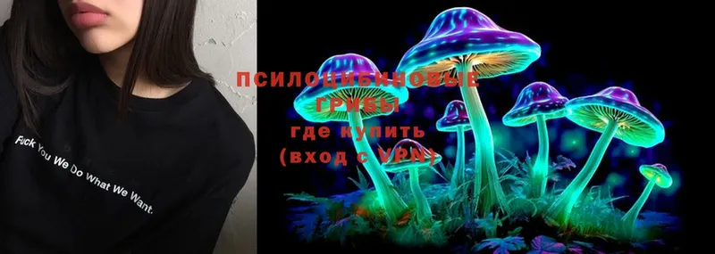 Псилоцибиновые грибы MAGIC MUSHROOMS  даркнет клад  Ипатово  блэк спрут онион 